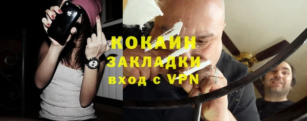 сатива Беломорск