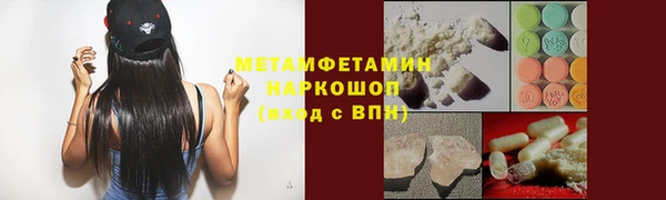 сатива Беломорск