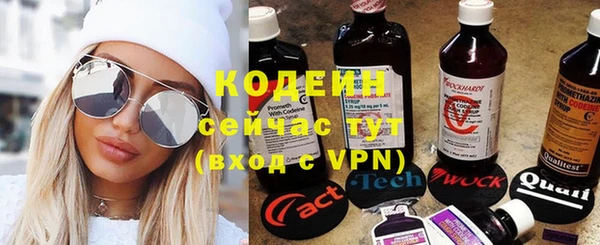 дмт Белокуриха