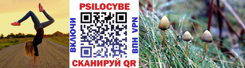 Галлюциногенные грибы прущие грибы  хочу   Козельск 